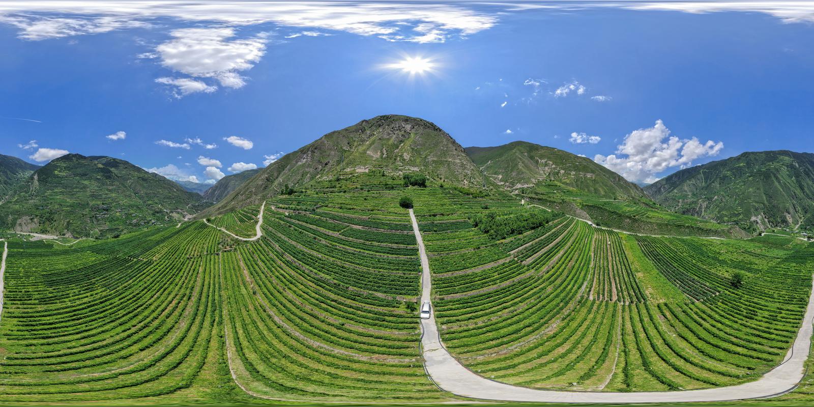 _小金县_马厂_匡家湾_葡萄园4_(2)
